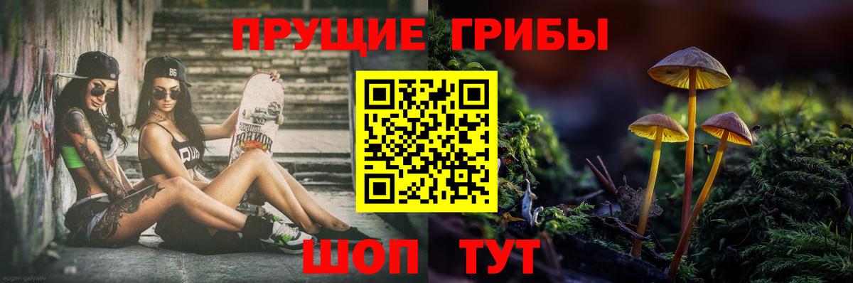 Галлюциногенные грибы мицелий Строитель